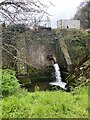 SM9701 : Water gushing into pond at Quoits Mill by Alan Hughes
