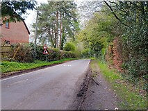 SU4261 : Woolton Hill Road by Oscar Taylor