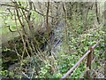 Part of the Afon Rhaedr near Llanrhaedr-ym-Mochnant