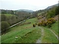 Sheep pasture in the valley of the Afon Rhaedr near Llanrhaedr-ym-Mochnant