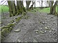 Old stone walled droveway at Llanarmon-Mynydd-Mawr