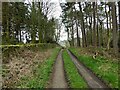 Approaching the hamlet of Greenhead