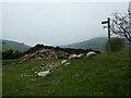 Footpath fingerpost