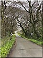 Road to Penny Bridge