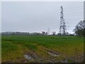 ST5290 : Field with pylons south of Mathern by Oscar Taylor