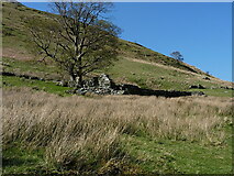 SH6361 : Ruined building above the road in Nant Ffrancon by Richard Law