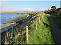 Path overlooking Thurso Bay