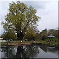 Pond, poplar and bandstand, Handsworth Park