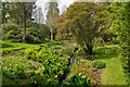 The Place for Plants: Garden & Arboretum, East Bergholt