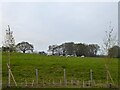 Barn Field