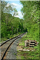 Severn Valley Railway in the Country Park near Highley