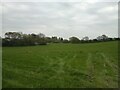 Field off the A371 Locking Moor Road