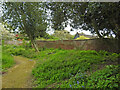 Part of the serpentine wall behind Ringsfield church