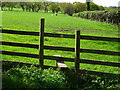 Public footpath