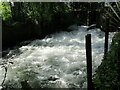 Weir on the River Itchen