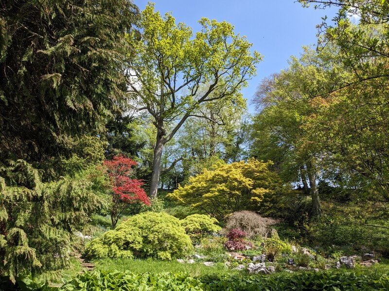 Rockery at the Weir Garden © Fabian Musto :: Geograph Britain and Ireland