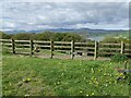 Looking towards the Carneddau