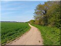 Path beside farmed field