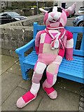 NT9464 : Pink Knitted Bunny at Eyemouth by Jennifer Petrie