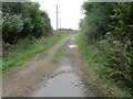 South  Leys  Road  track  from  fields  into  Hollym