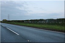 SO6422 : The A40, Pontshill by David Howard