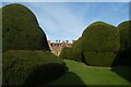 SE6250 : Topiary near Heslington Hall by DS Pugh