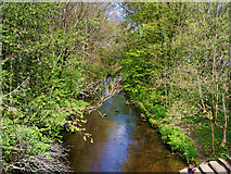 SJ9398 : River Tame at Ashton-under-Lyne by David Dixon