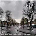 SP0194 : Carrington Road, Friar Park, Wednesbury by A J Paxton
