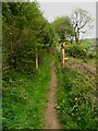 The western end of the footpath section of Spring Head Lane, Marsden