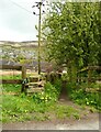 Footpath to The Grange, Marsden