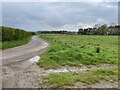 Farm road leading in a Z shape to the village of Wellbank, north of Dundee