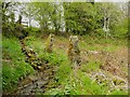 Path junction and stream crossing in Firth House Wood, Barkisland