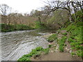 NJ9309 : River Don, Aberdeen by Malc McDonald