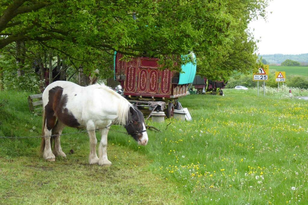 A horse and Romany caravan © Philip Halling :: Geograph Britain and Ireland