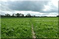 Permissive path over Tockwith Ness