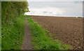 Footpath on Field Boundary, Acton