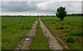 Footpath in former Sudbury Airfield, Acton