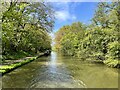 The Grand Union Canal