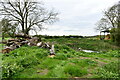 Elsing, Green Farm: Pond