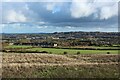 Farmland off Harperley Lane, Tantobie