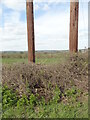 Old Milestone by A438, Hereford Road; 100m East of  Bush Pitch Farm entrance