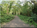 Path on Coulsdon Common