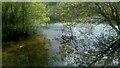 Lake reflections in Warren Gorge