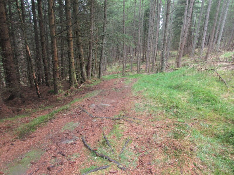 Forest path © Scott Cormie :: Geograph Britain and Ireland