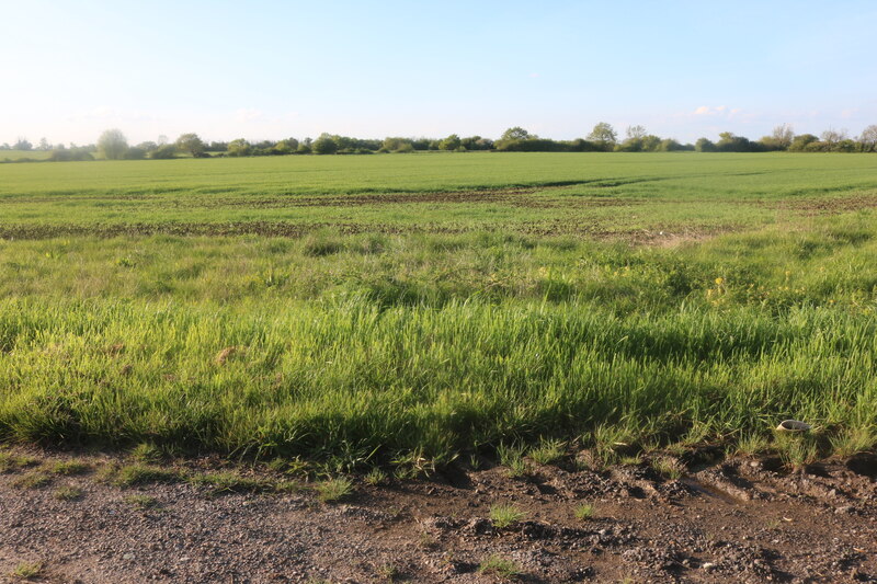 Field By Gonerby Lane Allington © David Howard Geograph Britain And Ireland 