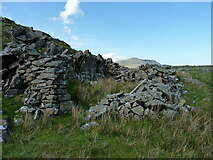 SH7049 : Sheepfold on the northern ridge of Moel Farlwyd by Richard Law