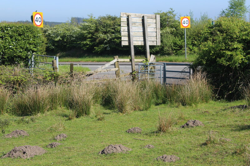 Gate at corner of roadside field,... © M J Roscoe :: Geograph Britain ...