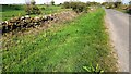 NY5961 : Dry stone wall and verge on north side of minor road outside Highfield by Roger Templeman