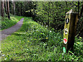 Path, Old Castle Archdale