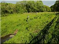 Outlet to the flood storage area, Norland